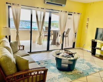 Relaxing 1bed 1bath Villa In Downtown Red Hook! - 圣托马斯岛 - 客厅