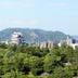 户外景观