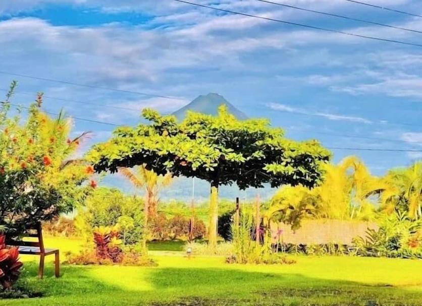 户外景观 照片