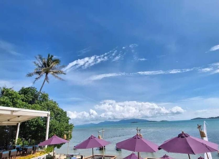 户外景观 照片