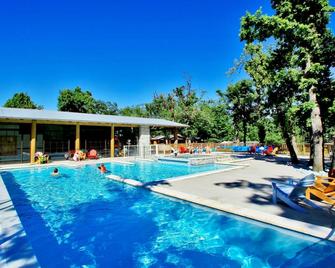 艾伯塔隆达克野营温泉酒店 - 阿尔比 - 游泳池