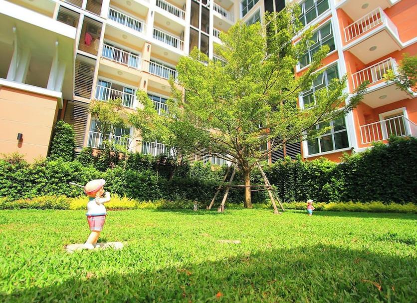 户外景观 照片