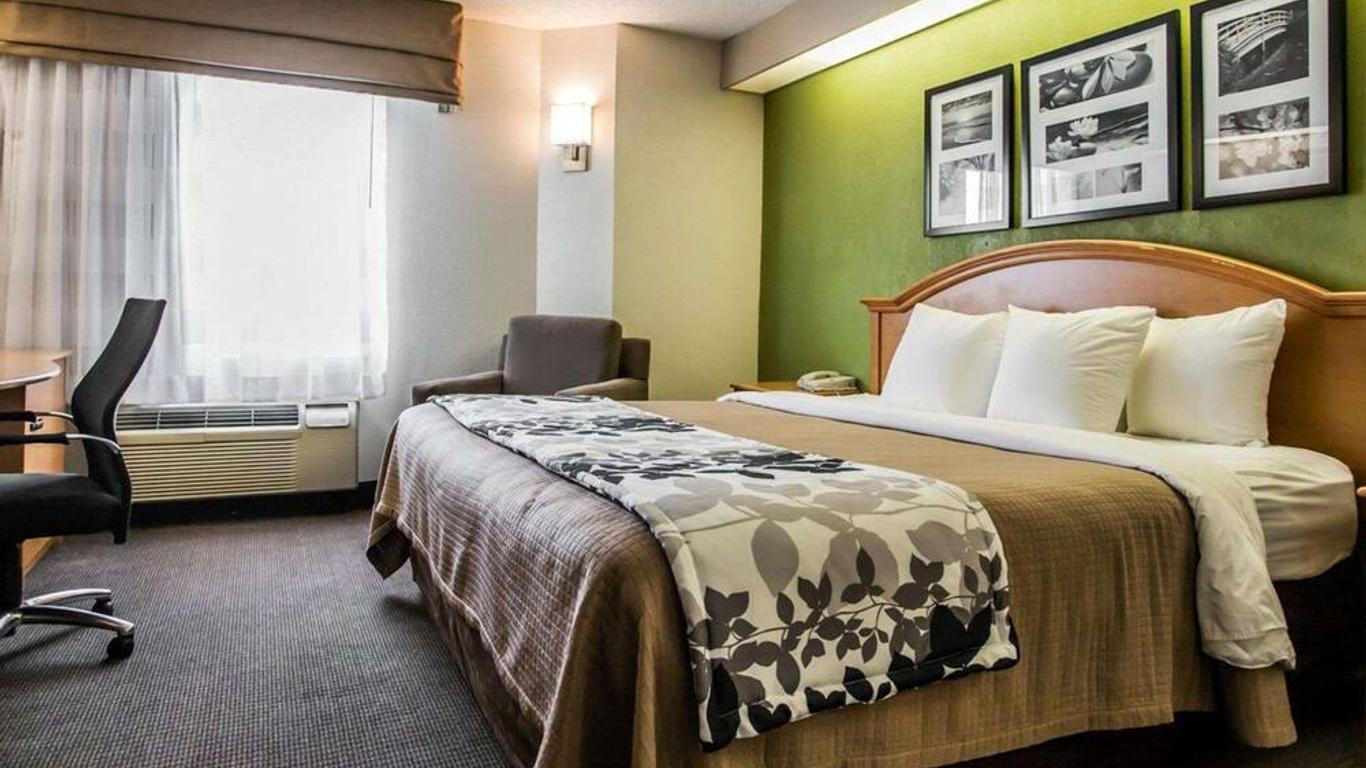 斯莱德尔舒眠酒店