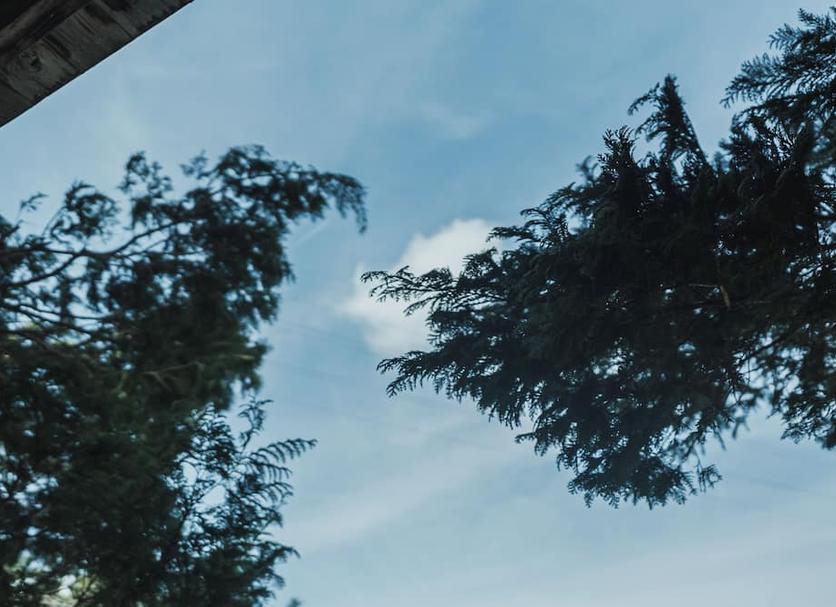 户外景观 照片