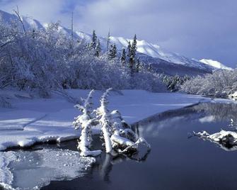 Close to Anchorage Airport, Lake Hood and the Cook Inlet coast - 安克雷奇 - 住宿设施