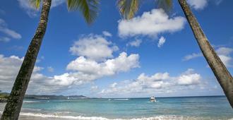 海盗海滩及高尔夫度假村 - 维京群岛圣克鲁斯岛商标酒店 - 圣克罗伊 - 海滩