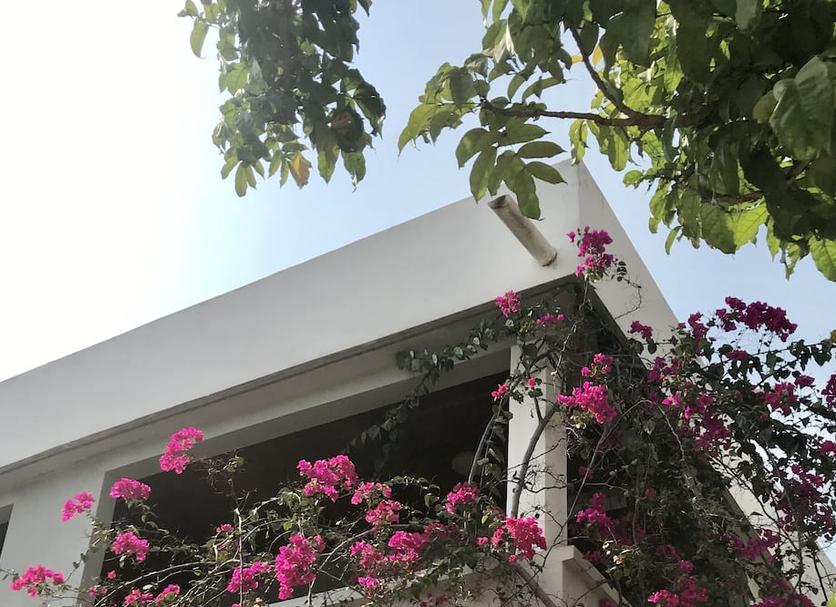 户外景观 照片