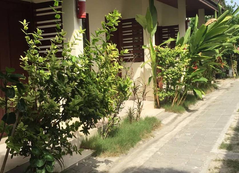 户外景观 照片
