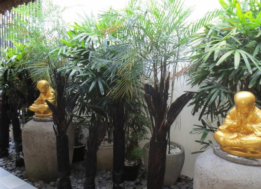 户外景观 照片
