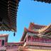 其他：