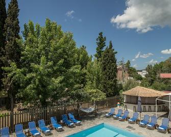 波皮之星酒店 - 古维亚 - 游泳池