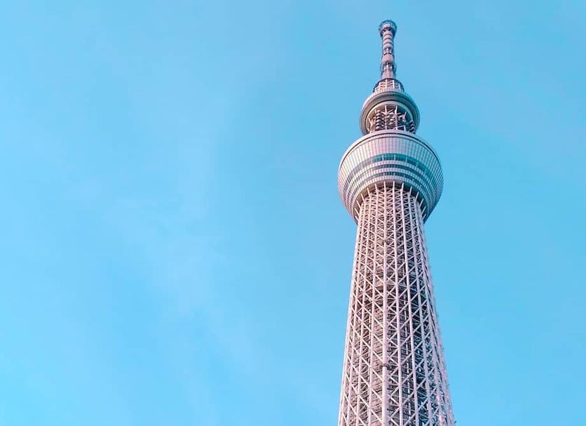 其他： 照片