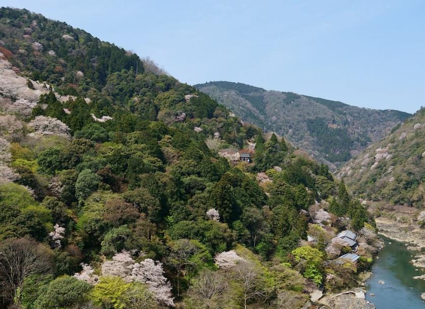 户外景观 照片