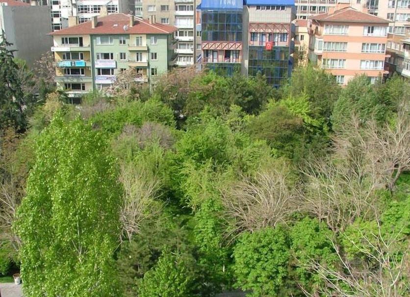 户外景观 照片