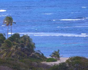 Home-styled cottage on Nevis with spectacular views of the Caribbean Sea - 纽卡斯尔 - 海滩