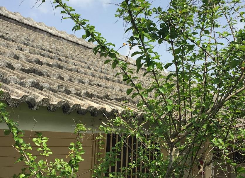 户外景观 照片