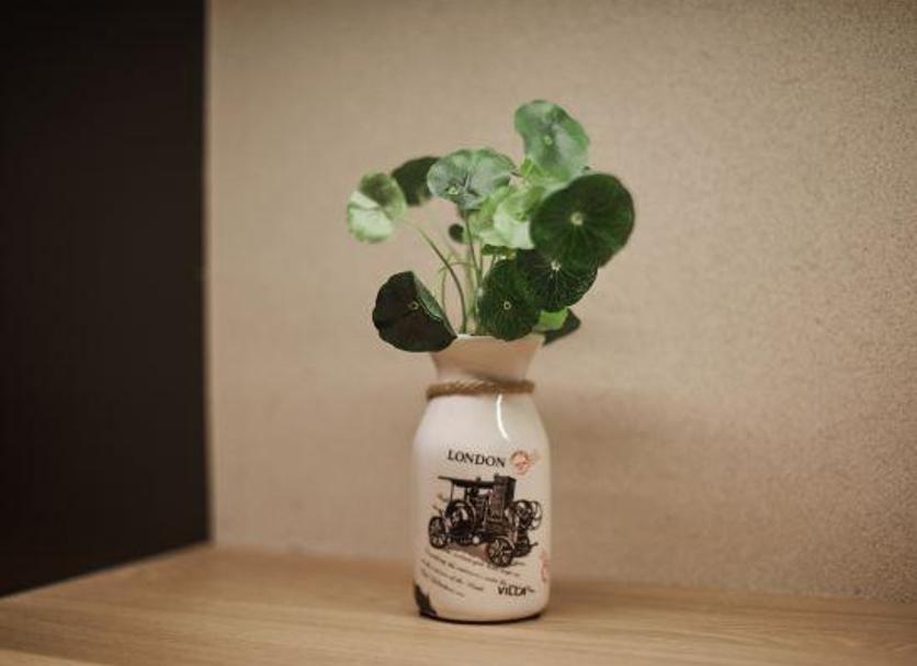 客房设施 照片