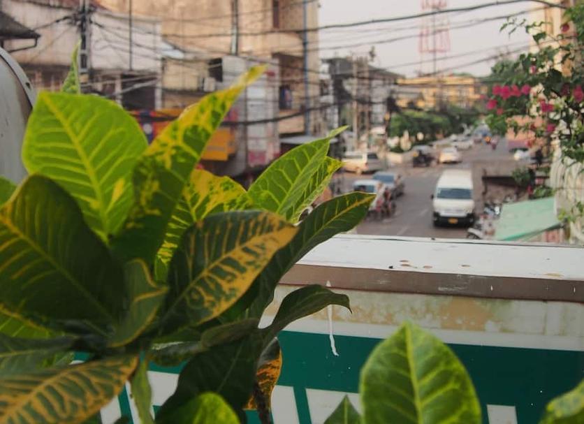 户外景观 照片