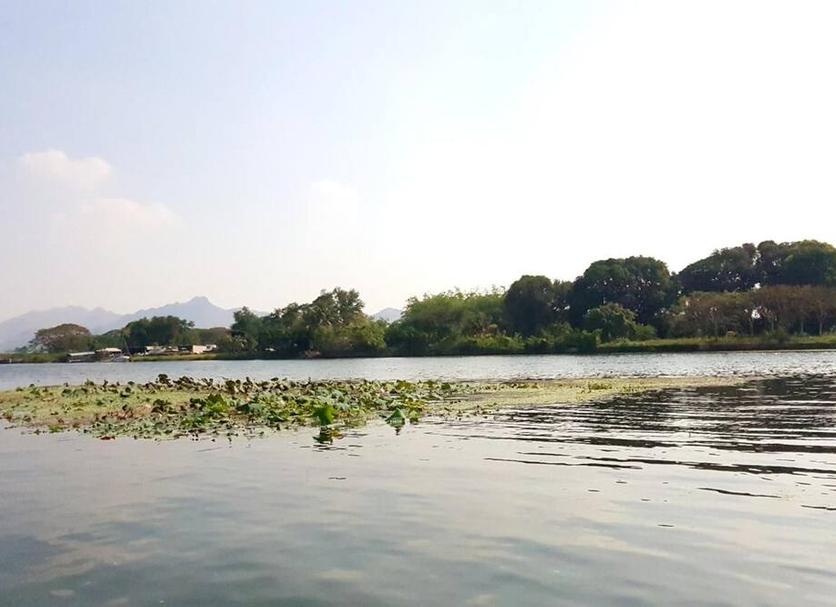 户外景观 照片