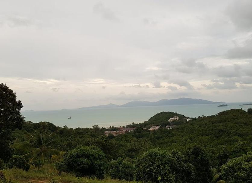 户外景观 照片