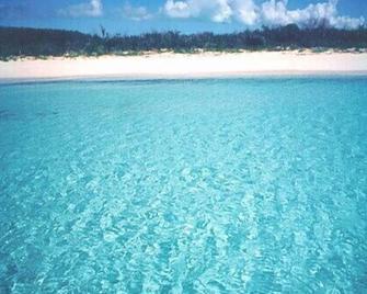 Stylish Oceanfront House on Beautiful Bahamas Beach - Spanish Wells - 海滩