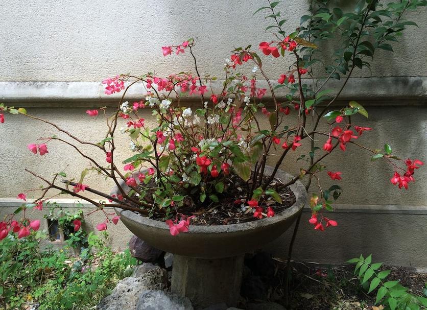 户外景观 照片