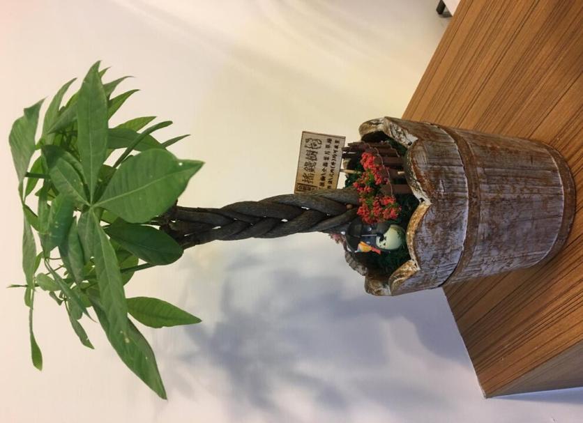 其他： 照片