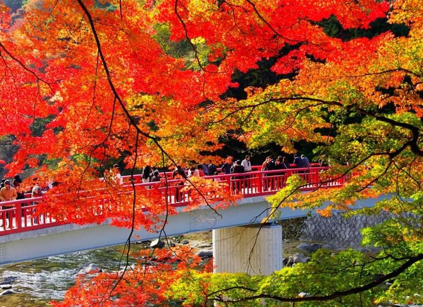 户外景观 照片