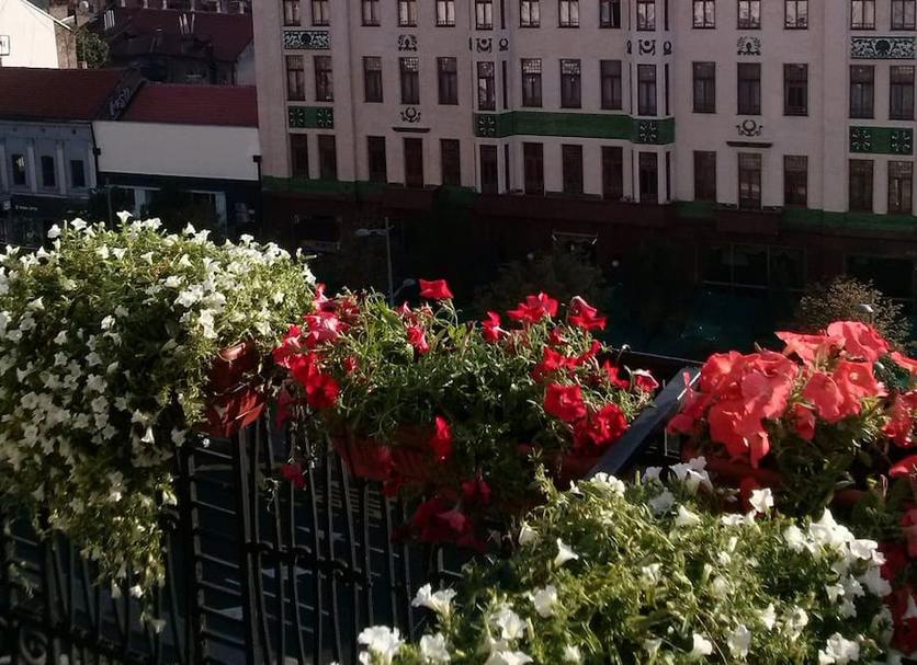 户外景观 照片