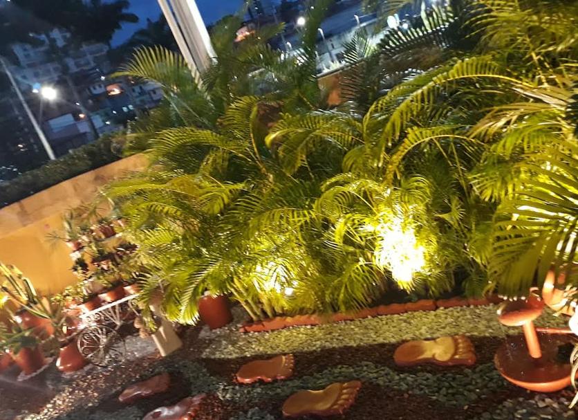 户外景观 照片
