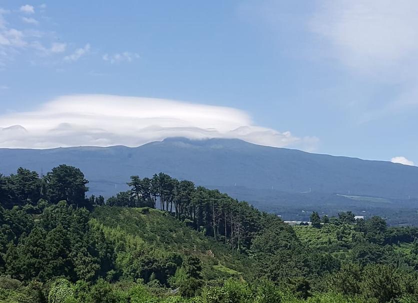 户外景观 照片