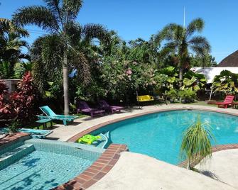 乐玛努米亚渡假酒店 - 阿皮亚 - 游泳池