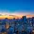 户外景观