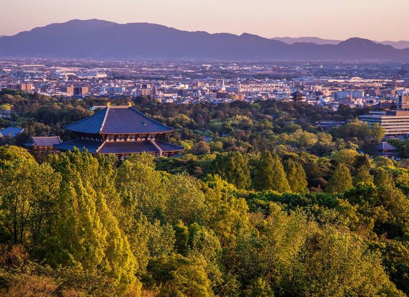 户外景观 照片