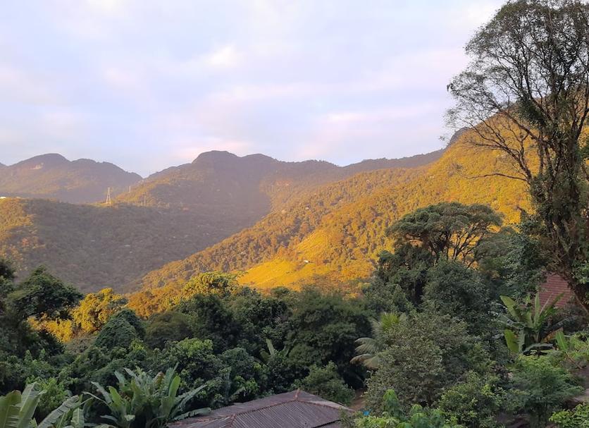 户外景观 照片