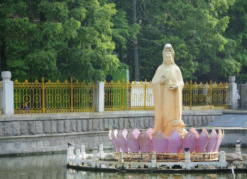 其他： 照片