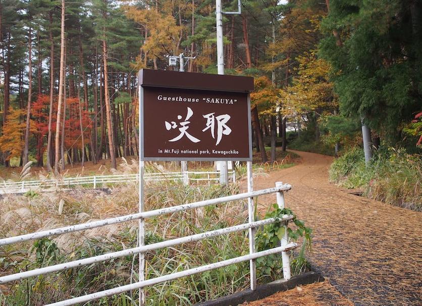 户外景观 照片