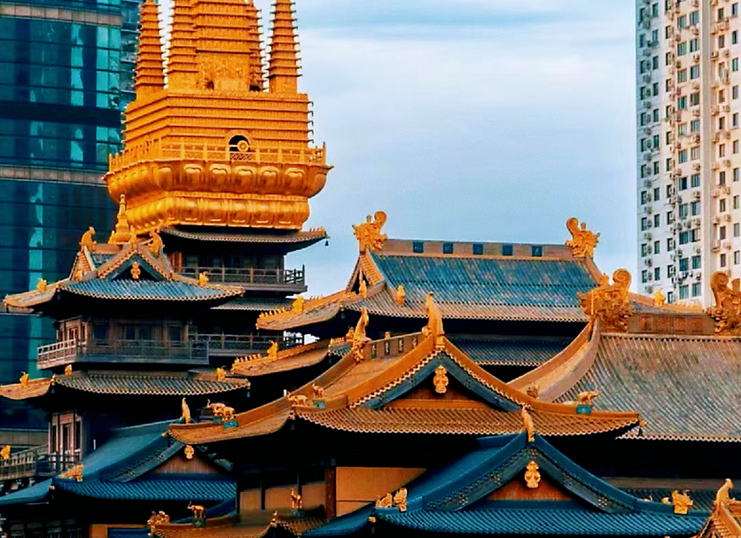 其他： 照片