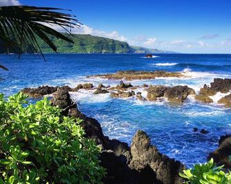 Tropical Romance Lush GardensOcean View in Heavenly Hana, Maui - 哈纳（茂宜县）