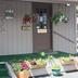 自助餐