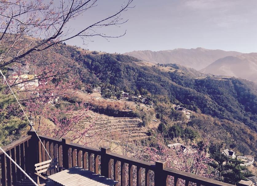 户外景观 照片