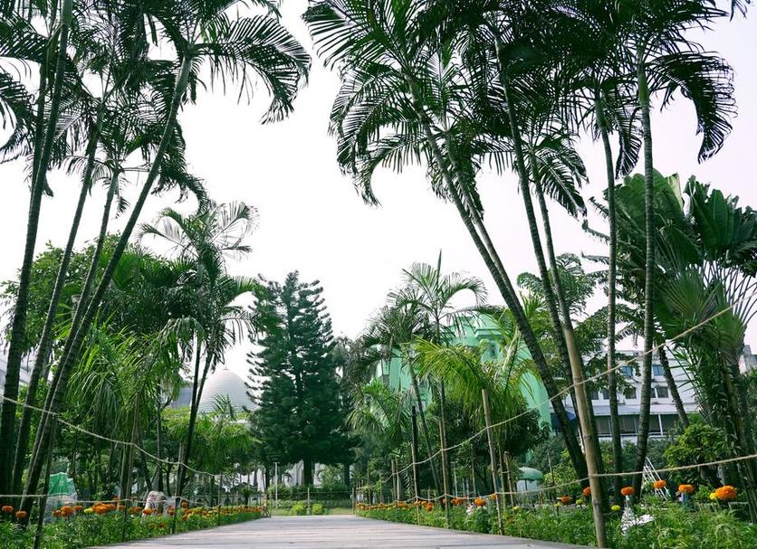 户外景观 照片
