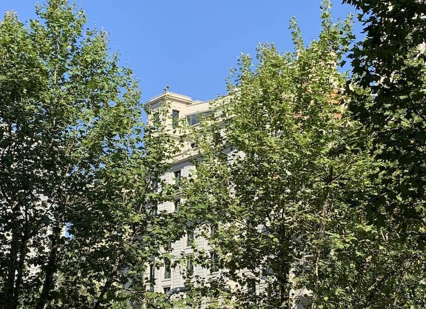户外景观 照片