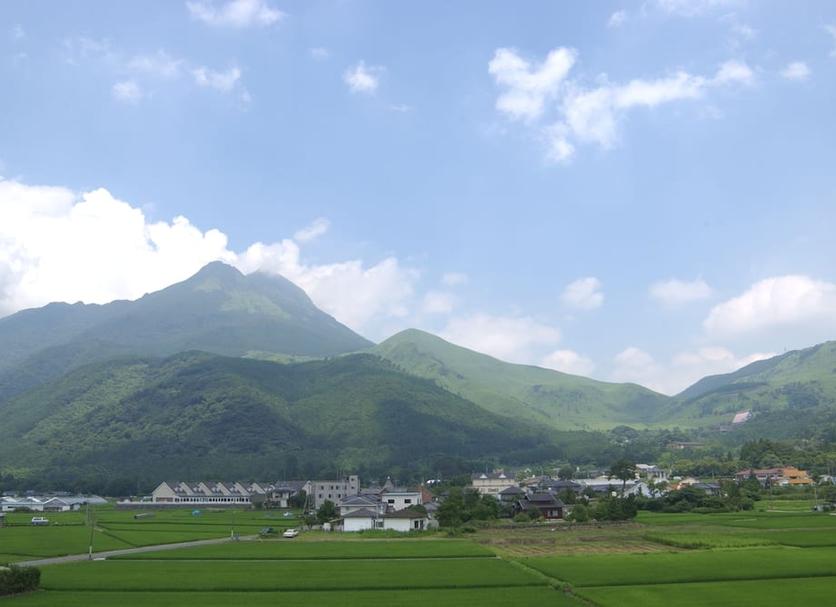 户外景观 照片