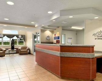 Microtel Inn & Suites by Wyndham Tunica Resorts - 罗宾逊维勒 - 柜台
