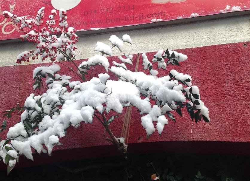 建筑 照片