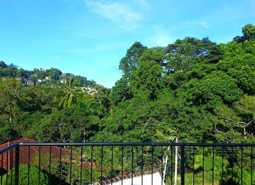 户外景观 照片