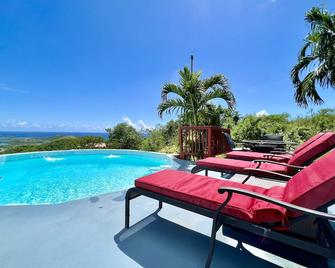 Breathtaking Panoramic Views Of The Caribbean Sea From This Luxury Villa - 圣托马斯岛 - 游泳池