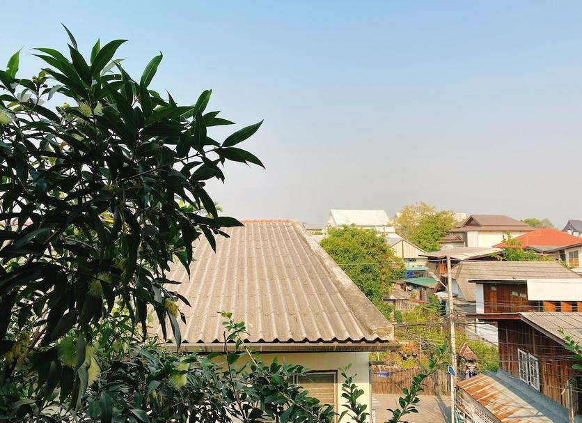 户外景观 照片
