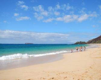 Oceanfront property with amazing view, clean & quiet end unit - 怀卢库 - 海滩